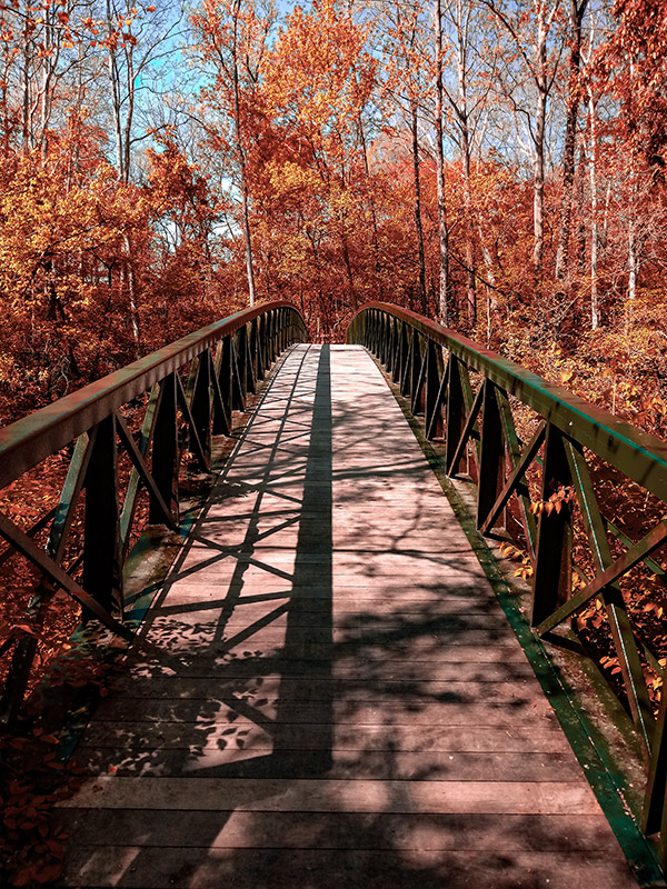 Gahanna Parks Wooden Bridge Trail